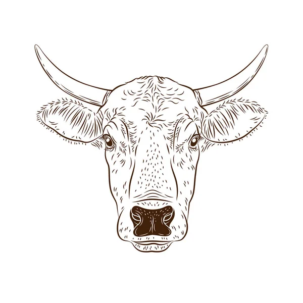 Tête Taureau Vache Isolée Sur Fond Blanc Logo Bétail Signe — Image vectorielle