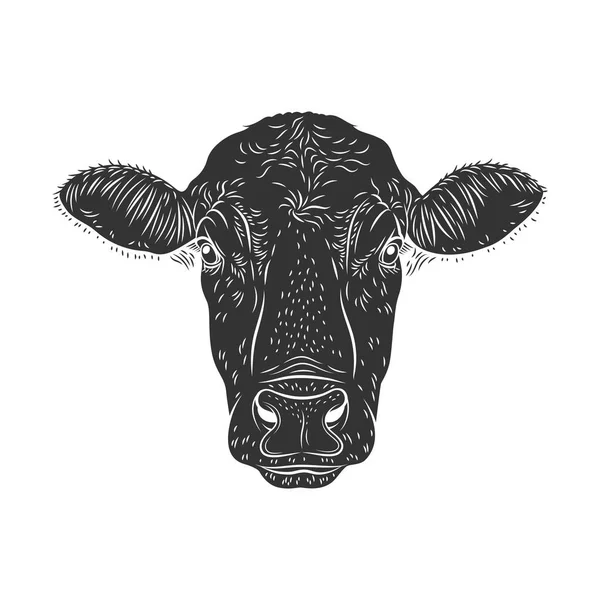 Tête Taureau Vache Isolée Sur Fond Blanc Logo Bétail Signe — Image vectorielle