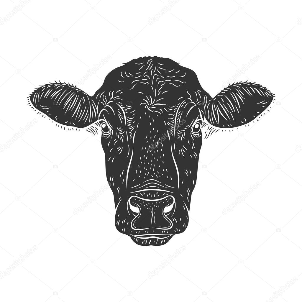 Cow calf bulls head isolated on white background. Cattle logo. Butchery sign. Beef, farm symbol. Poultry. Black and white emblem, symbol, silhouette. Stamp. Vector stencil illustration. Sketch. 