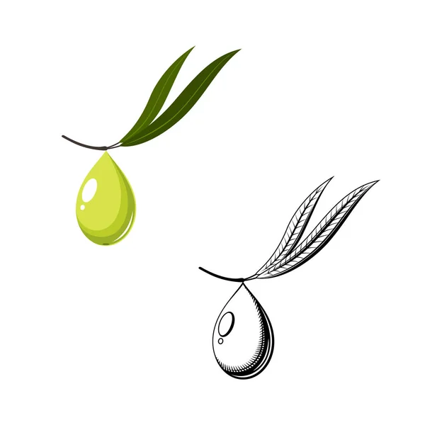 Oliva Goccia Logo Vettoriale Illustrazione Del Ramo Olive Isolato Sfondo — Vettoriale Stock