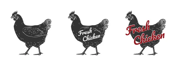 Chicken Hen Fresh Roster Head Egg Isolated Vector Logo White — Stock Vector