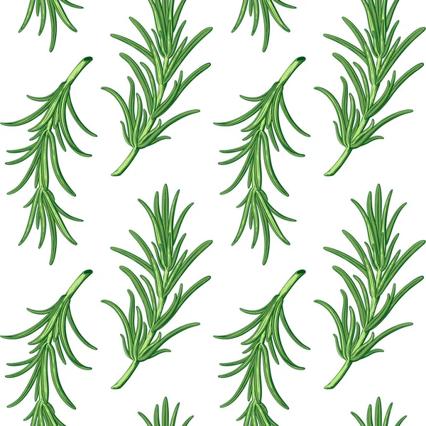 Розмарин Ветвей Бесшовный Векторный Фон Картины Прованс Травы Листья Зеленого — стоковый вектор