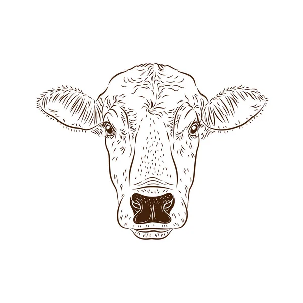牛牛头孤立在白色背景上 牛标志 屠夫标志 农场符号家禽 黑白标志 矢量模具插图 — 图库矢量图片
