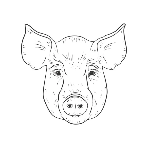 Cabeza de cerdo Imágenes Vectoriales, Gráfico Vectorial de Cabeza de cerdo  | Depositphotos