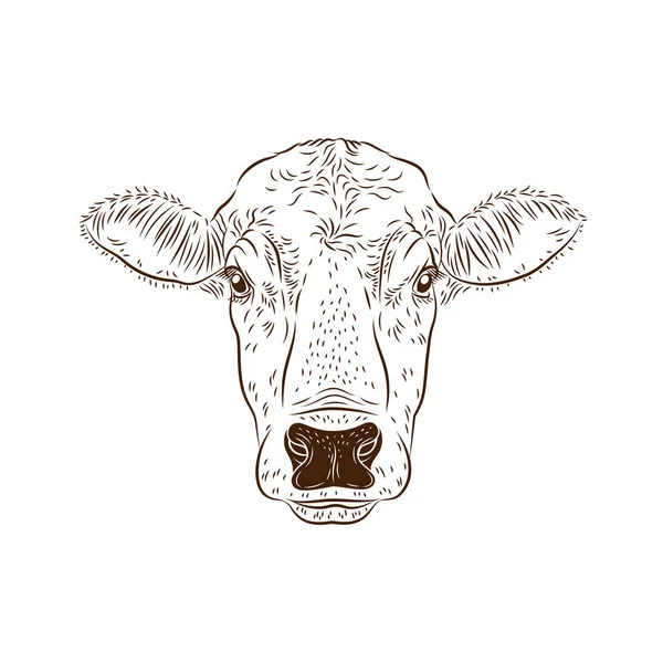 Cow calf bulls head isolated on white background. Cattle logo. Butchery sign. Beef, farm symbol. Poultry. Black and white emblem, symbol, silhouette. Stamp. Vector stencil illustration. Sketch. — Stock Illustration Cow Calf Bulls Head Isolated White Background Cattle Logo Butchery Stock Vector