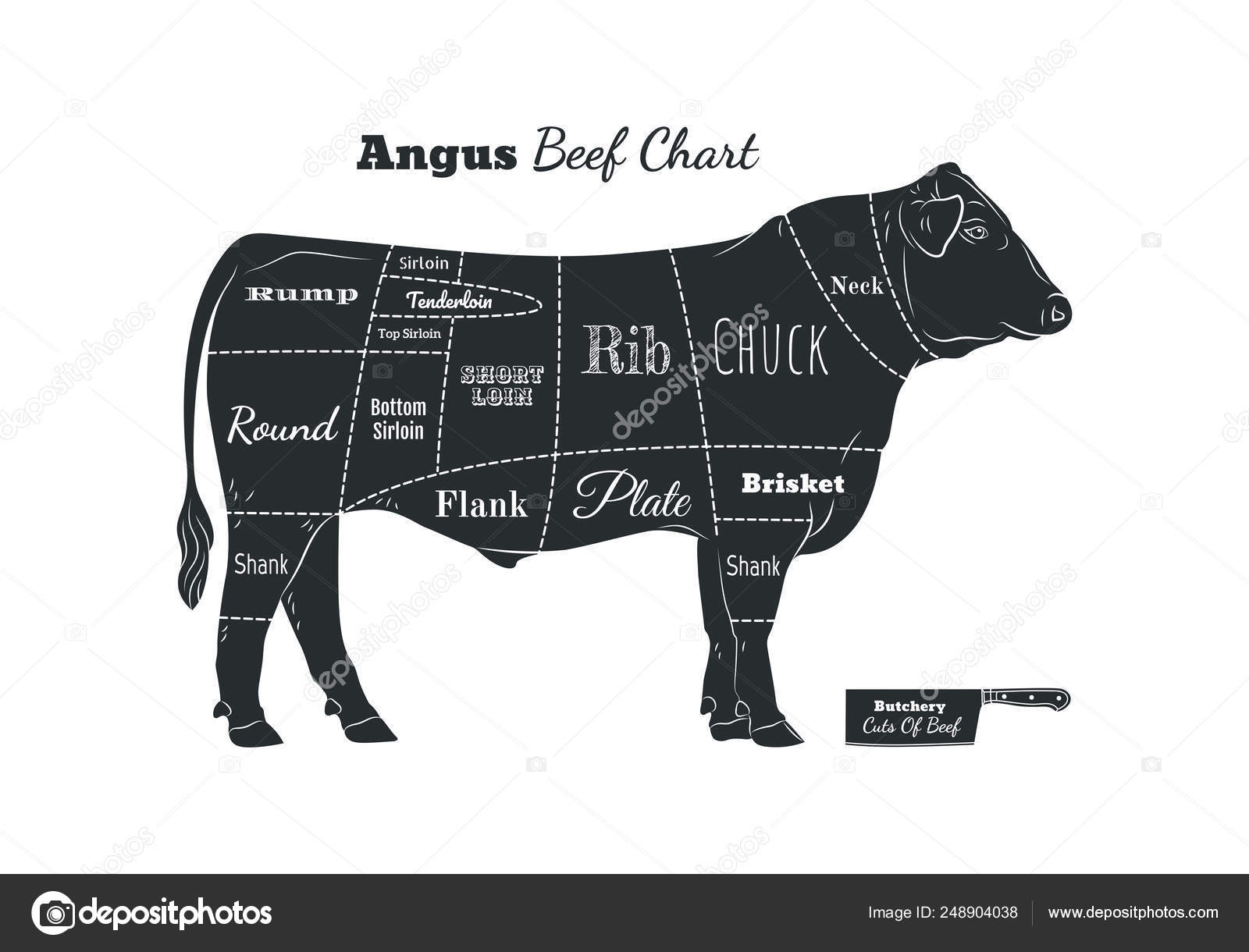 Angus Beef Cuts Chart