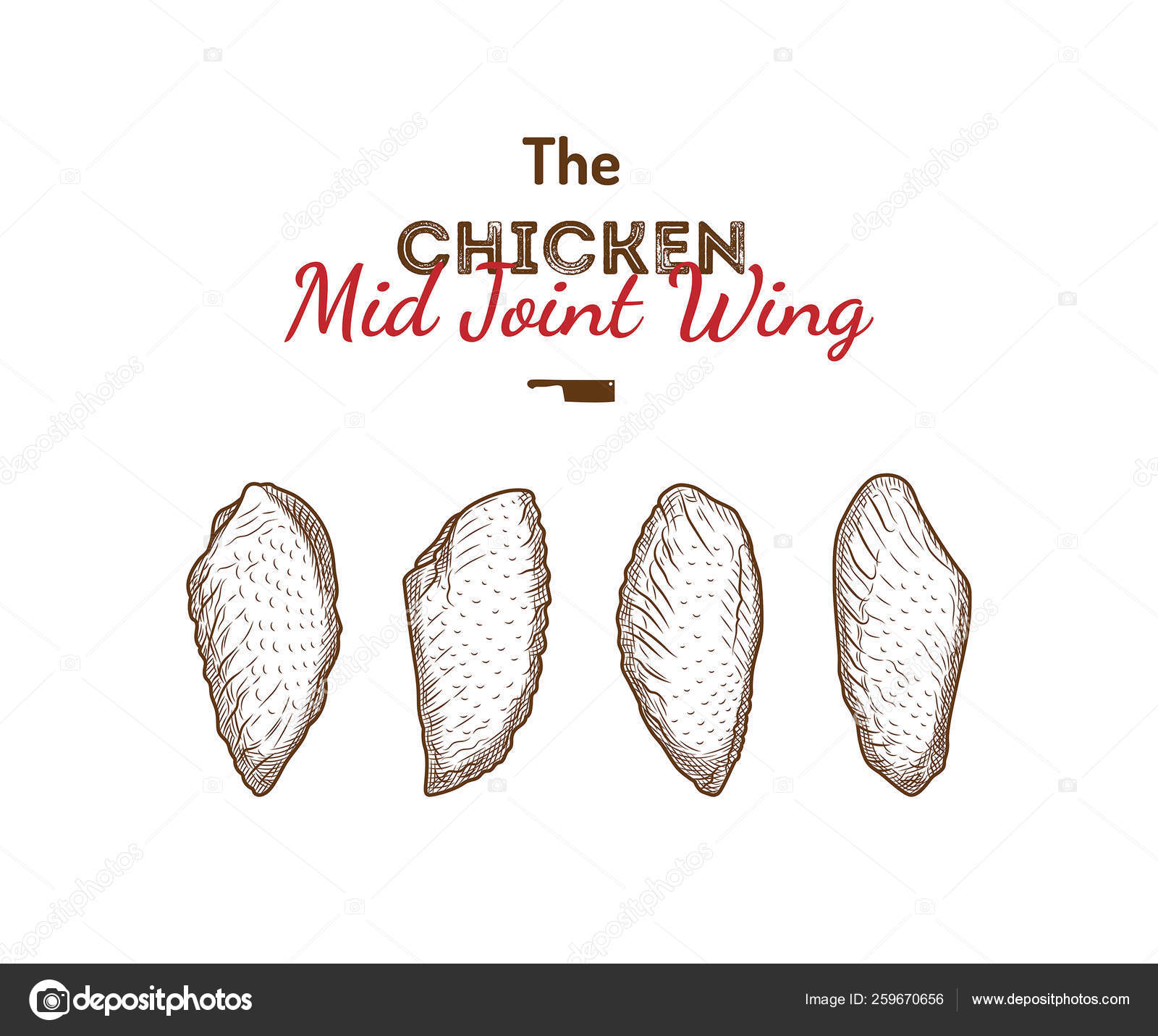 Hand Drawn Sketch Buffalo Chicken Wings in Basket. Stock Vector -  Illustration of dish, menu: 102373572