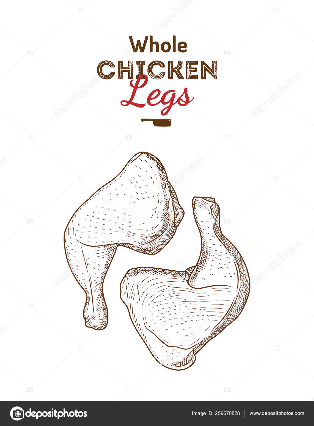 Chicken leg drawing illustration vector on white background Stock Vector  Image  Art  Alamy