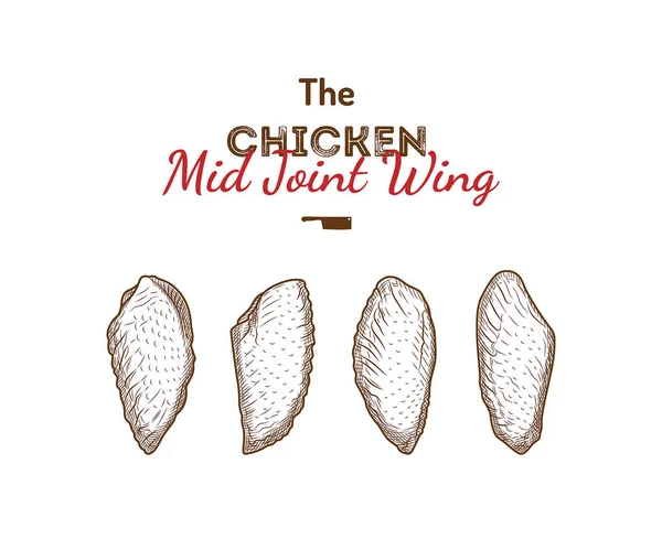 Illustration de dessin vectoriel des ailes de poulet mi-jointes . — Image vectorielle