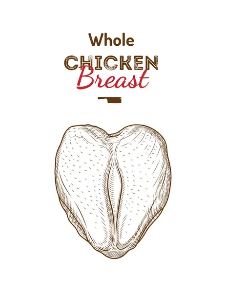 Ilustración de dibujo de pechuga de pollo entero . —  Fotos de Stock