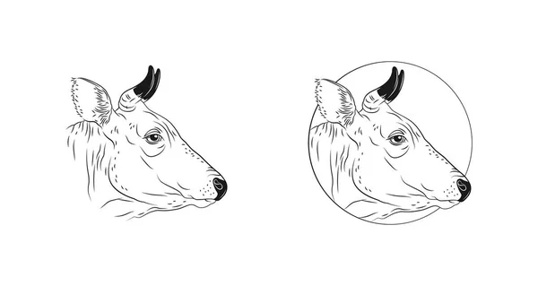 Vache, veau ou tête de taureau isolés sur fond blanc. Vue de profil. Vecteur — Image vectorielle