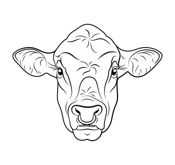 Cow, calf or bulls head isolated on white background. Vector — Stock Illustration Cow, calf or bulls head isolated on white background. Vector Royalty Free Stock Vectors