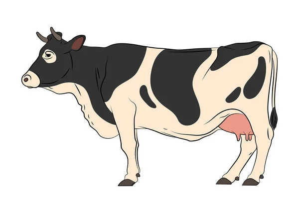 Cow bull head isolated on white background. Vector — Stock Illustration Cow bull head isolated on white background. Vector Royalty Free Stock Illustrations