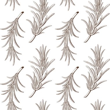 Biberiye dalları dikişsiz desen arka plan.