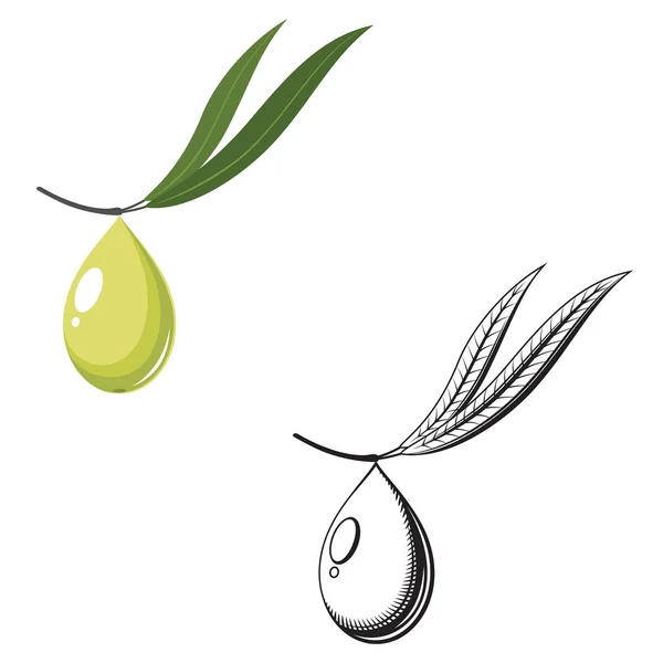 Zeytin damlası logosu illüstrasyon zeytin dalı beyaz arka plan üzerinde izole. 