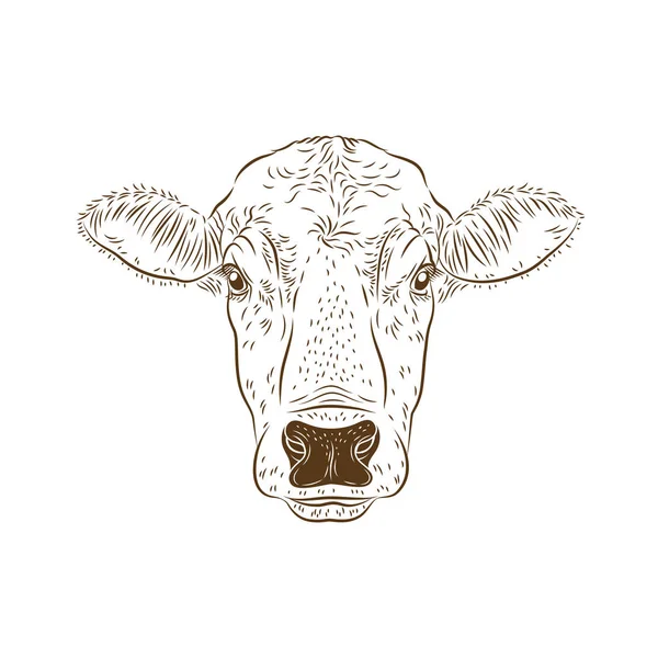 牛牛头孤立在白色背景上 牛标志 屠夫标志 农场符号家禽 黑白标志 模具插图 — 图库照片