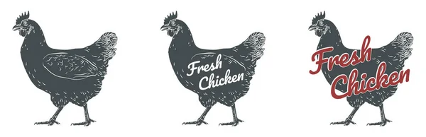 Chicken hen fresh, roster head, egg isolated logo — Stock Photo, Image