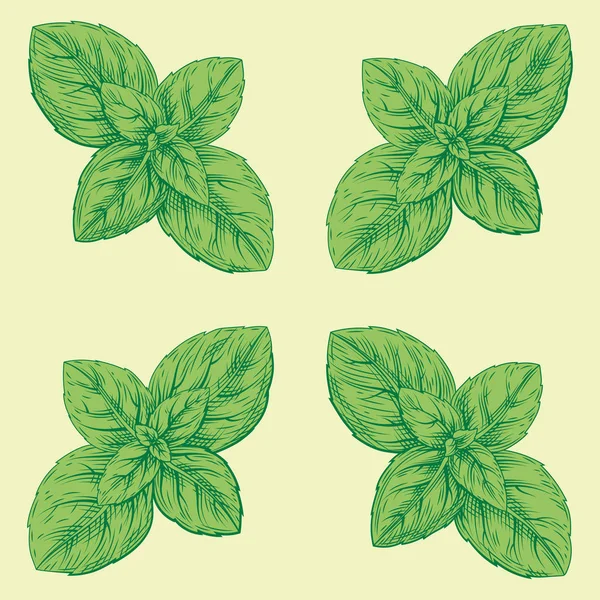 Disegnato a mano schizzo stile basilico foglie sfondo — Foto Stock