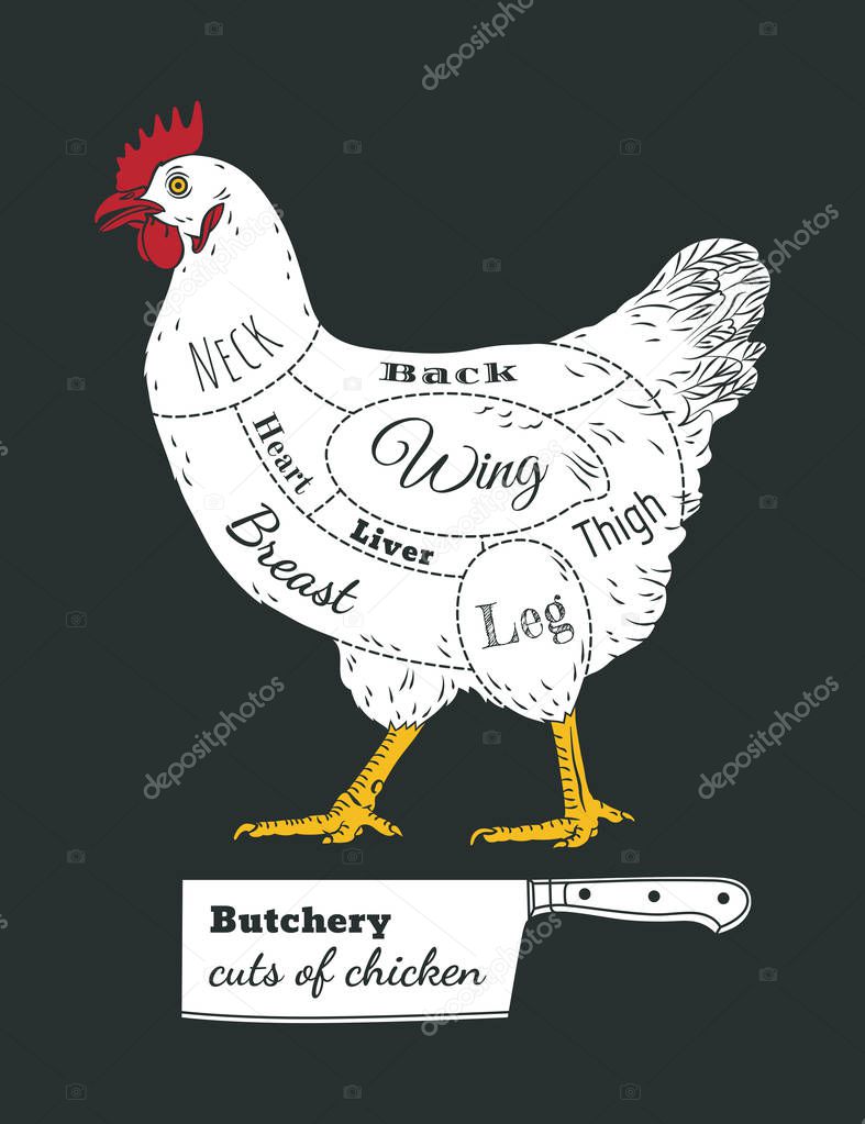 For shop,  farm, butcher, poultry. Illustration. Label, sign, emblem, symbol, mascot. Butchery cuts.
