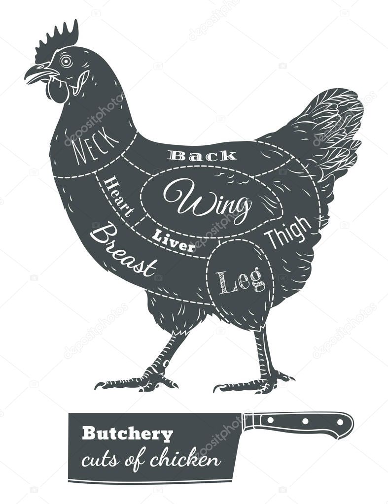 For shop,  farm, butcher, poultry. Illustration. Label, sign, emblem, symbol, mascot. Butchery cuts.
