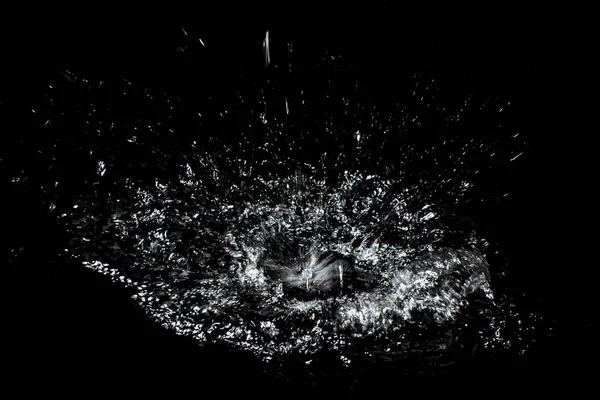 Splash of water. Isolate on black background