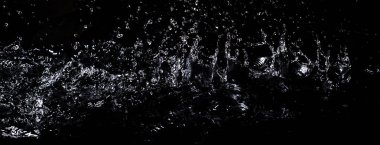 Su sıçraması. Siyah arka planda yalıtma