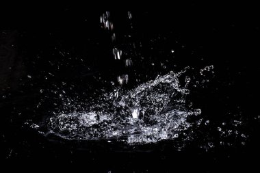 Su sıçraması. Siyah arka planda yalıtma