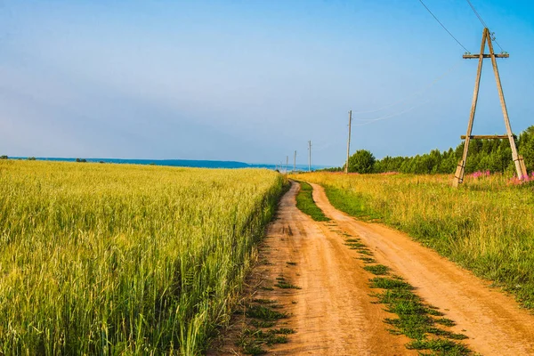 Chemin de terre qui longe un champ de céréales. Paysage ensoleillé. — Photo