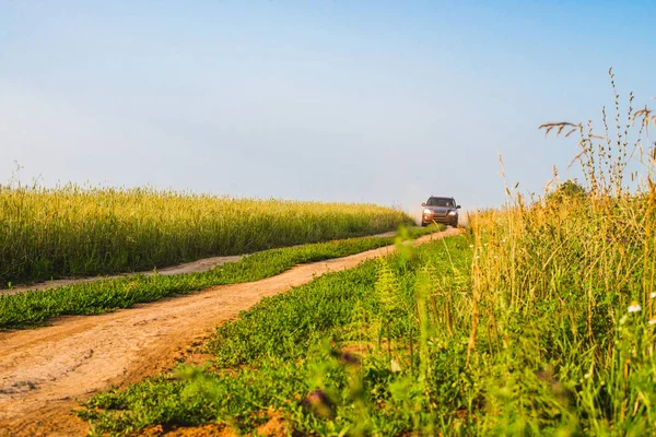 Um carro vermelho está dirigindo ao longo de uma estrada de terra pegando uma nuvem de poeira. Estrada rural a passar pelo campo. Tempo ensolarado claro . — Fotografia de Stock