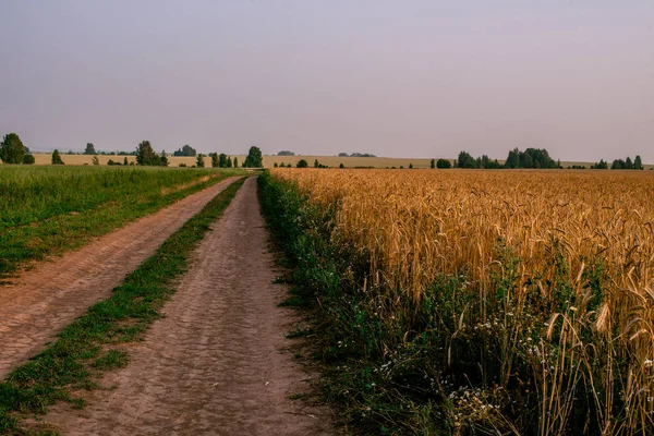 Paysage printanier ensoleillé avec une route en terre parmi les champs agricoles près de la ville de Dnipro dans le centre de l'Ukraine — Photo