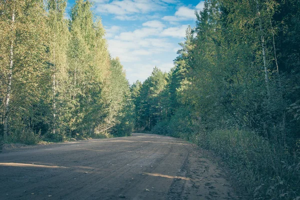 Route de campagne sablonneuse dans un bois — Photo