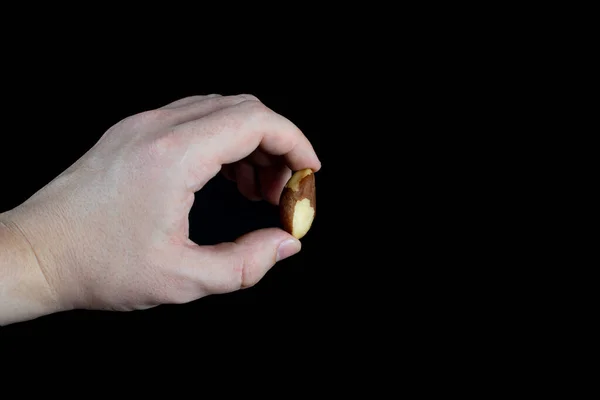 Пальцы Держат Один Бразильский Орех Черном Фоне — стоковое фото