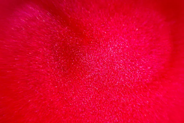 Красная Жемчужная Краска Крупный План Макро Фото Фон — стоковое фото