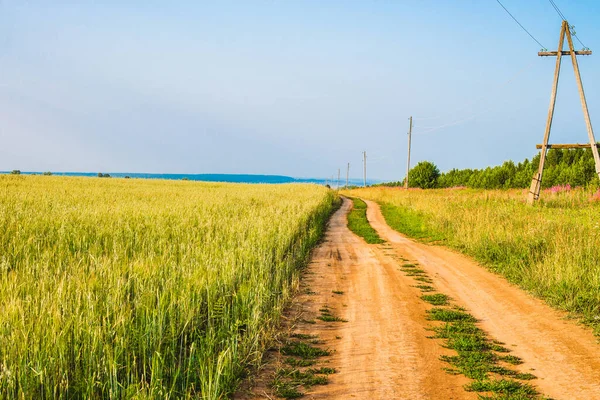 Estrada Terra Rural Que Corre Longo Campo Cereais Paisagem Ensolarada — Fotografia de Stock