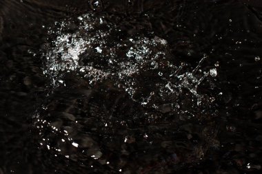 Siyah izole arkaplanda su sıçraması