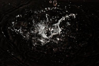 Siyah izole arkaplanda su sıçraması