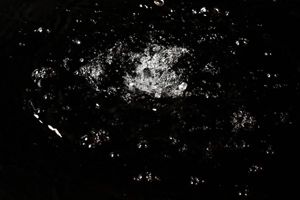 Siyah izole arkaplanda su sıçraması