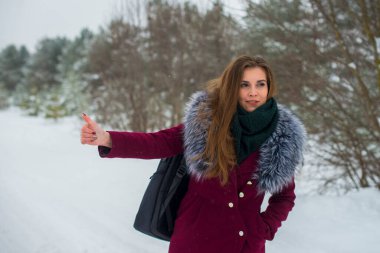 Sırt çantalı güzel bir kız otostopçu arabayı kış yolunda yakalar.