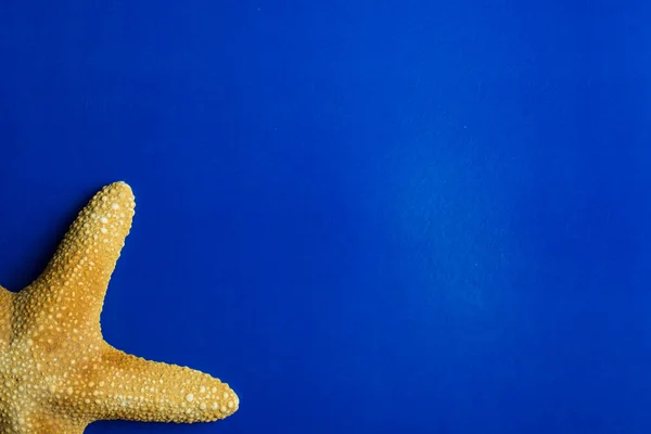 Yellow Starfish Blue Background Room Copy Space — Stock Photo, Image