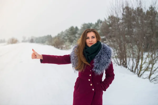 Joven Hermosa Chica Autoestopista Capturas Coche Invierno Carretera — Foto de Stock