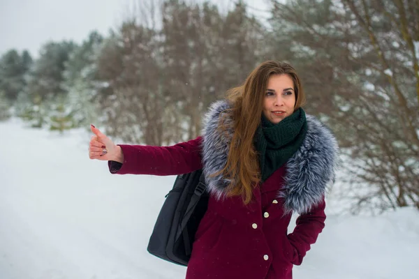 Sırt çantalı güzel bir kız otostopçu arabayı kış yolunda yakalar.