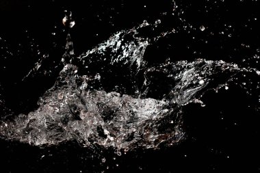 Siyah izole arkaplanda berrak su damlası.