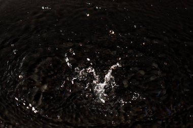 Siyah izole arkaplanda berrak su damlası.