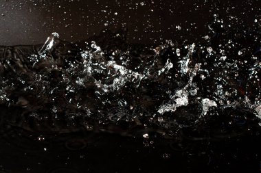 Siyah izole arkaplanda berrak su damlası.