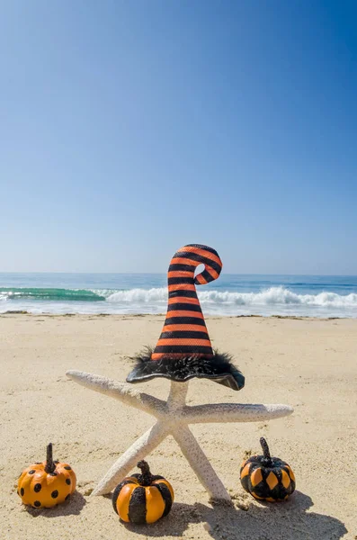 Halloween Background Starfishes Witch Hats Sandy Beach Ocean — стоковое фото