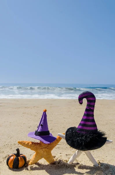 Halloween Fundo Com Estrelas Mar Nos Chapéus Bruxa Praia Areia — Fotografia de Stock