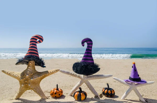 Halloween Fundo Com Estrelas Mar Nos Chapéus Bruxa Praia Areia Fotografia De Stock
