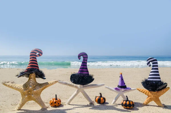 Halloween Fundo Com Estrelas Mar Nos Chapéus Bruxa Praia Areia Imagens Royalty-Free