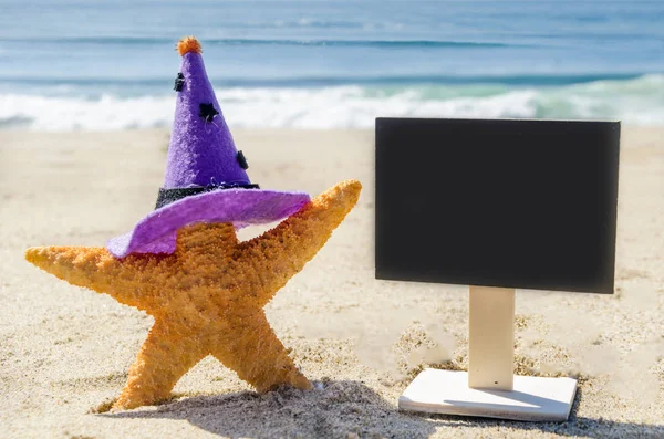 Halloween background with starfishes in the witch\'s hats and black board on the sandy beach near the ocean