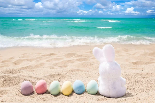 Tavşan ve renkli yumurta ile Plaj Paskalya arka plan — Stok fotoğraf